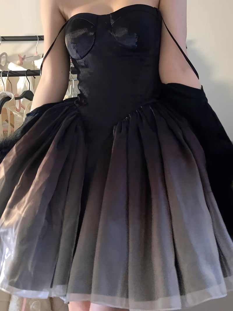 Black Original Lolita swan princess dress.